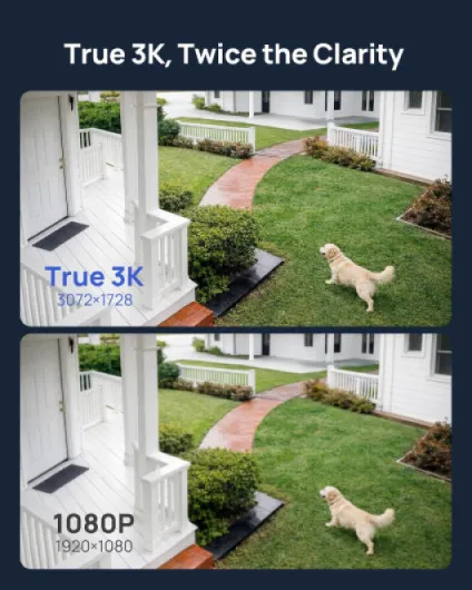 81wp1dDydbL._AC_SL1500_