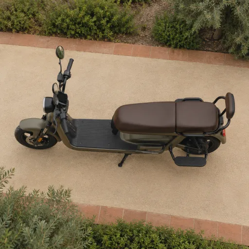 Exploring the World of Two-Person Electric Scooters