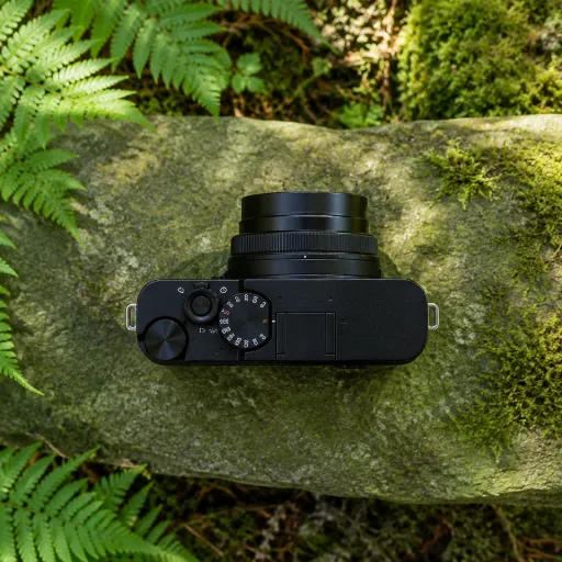 Exploring the Features of the Leica D-Lux 109