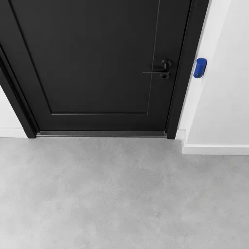 Enhancing Home Security with Door Motion Sensors