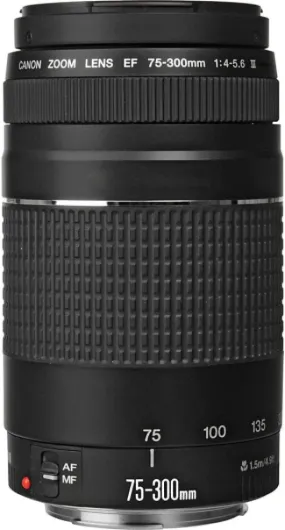 51sVziDpnOS._AC_SL1000_