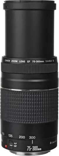 51T41EyROgS._AC_SL1000_