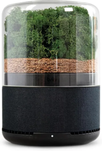 Briiv Air Filter