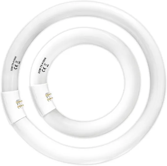 51cquFZl4vL._AC_SL1500_