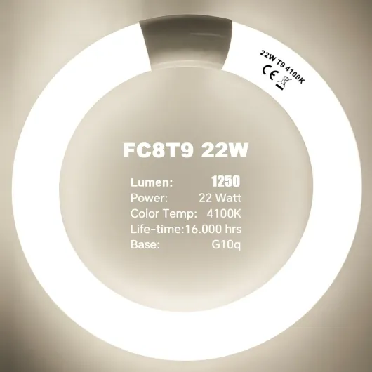 61lYrlFfYEL._AC_SL1500_
