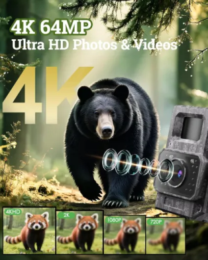 81ye05mbTTL._AC_SL1500_