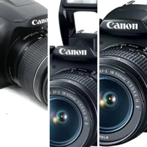 Top Entry level DSLR cameras