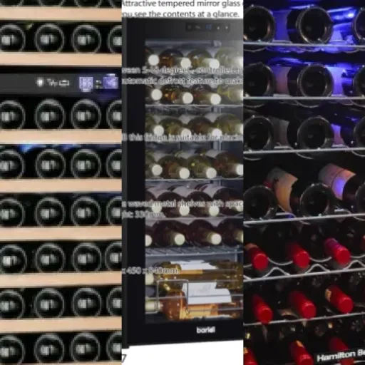 Ranking of the 6 best large wine coolers (2026)