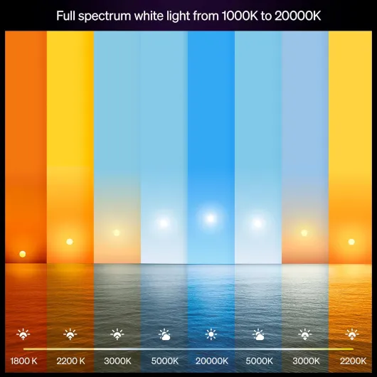 71O8a-o1rEL._AC_SL1500_
