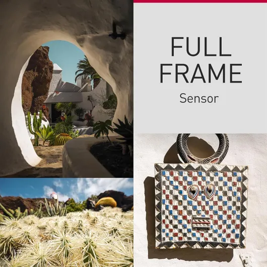 Lumix S9 Full Frame Mirrorless Camera, Open Gate Vlogging Camera, Black & Silver with 18-40mm S lens, 24.2MP, 6K /4K Video, 779 Point PDAF, Image Stabilisation, Free-Angle Screen, WiFi Black & Silver S9N