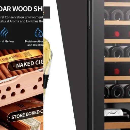 Top Wine coolers for collectors